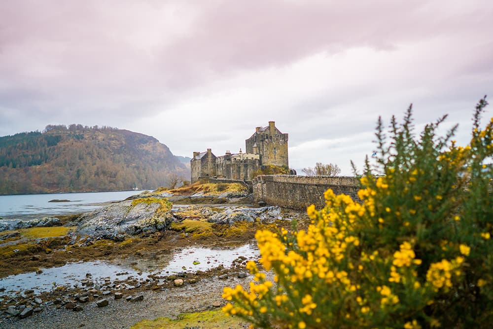 Scotland 10, Scottish Book Club Tour