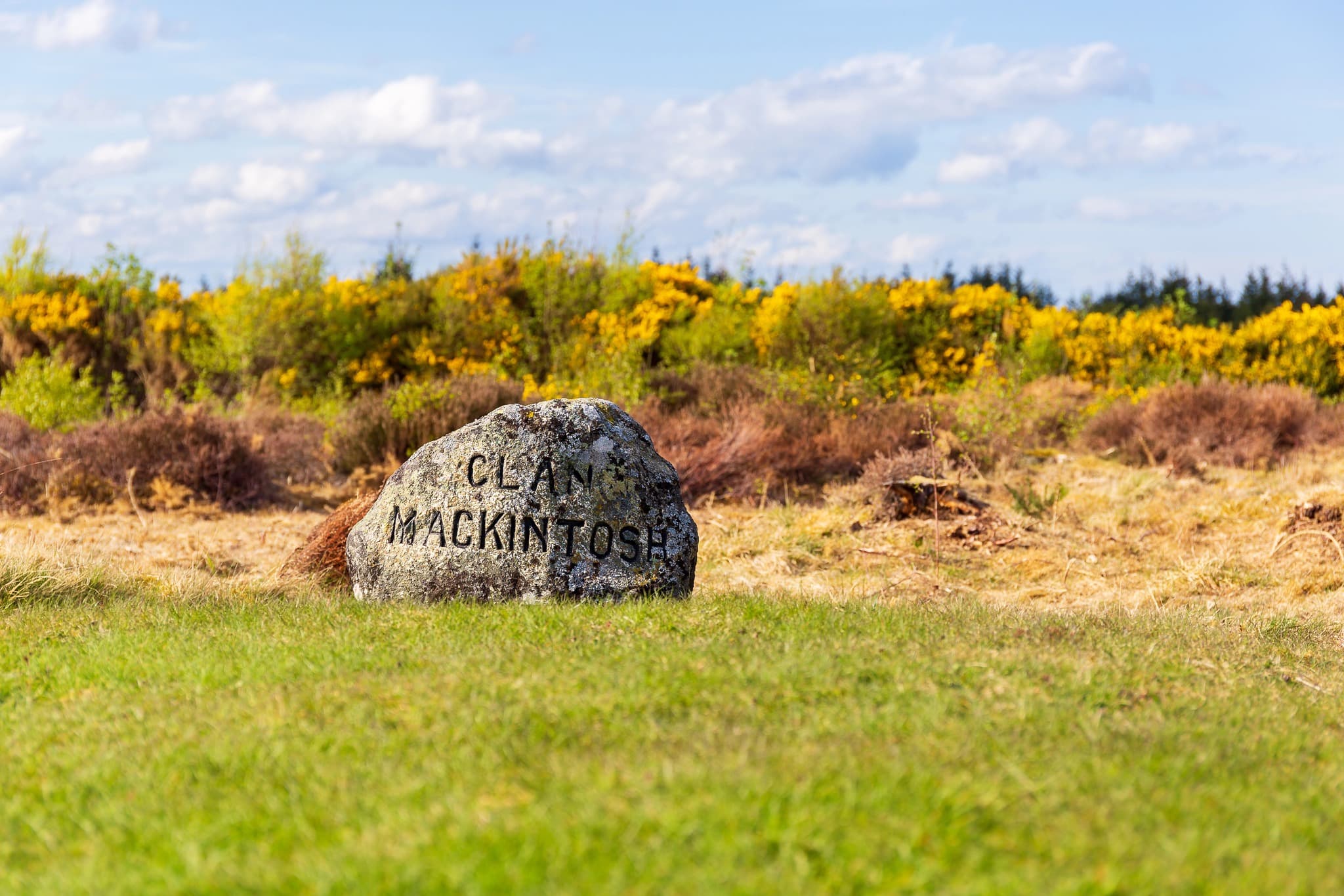 Scotland 3, Scottish Book Club Tour