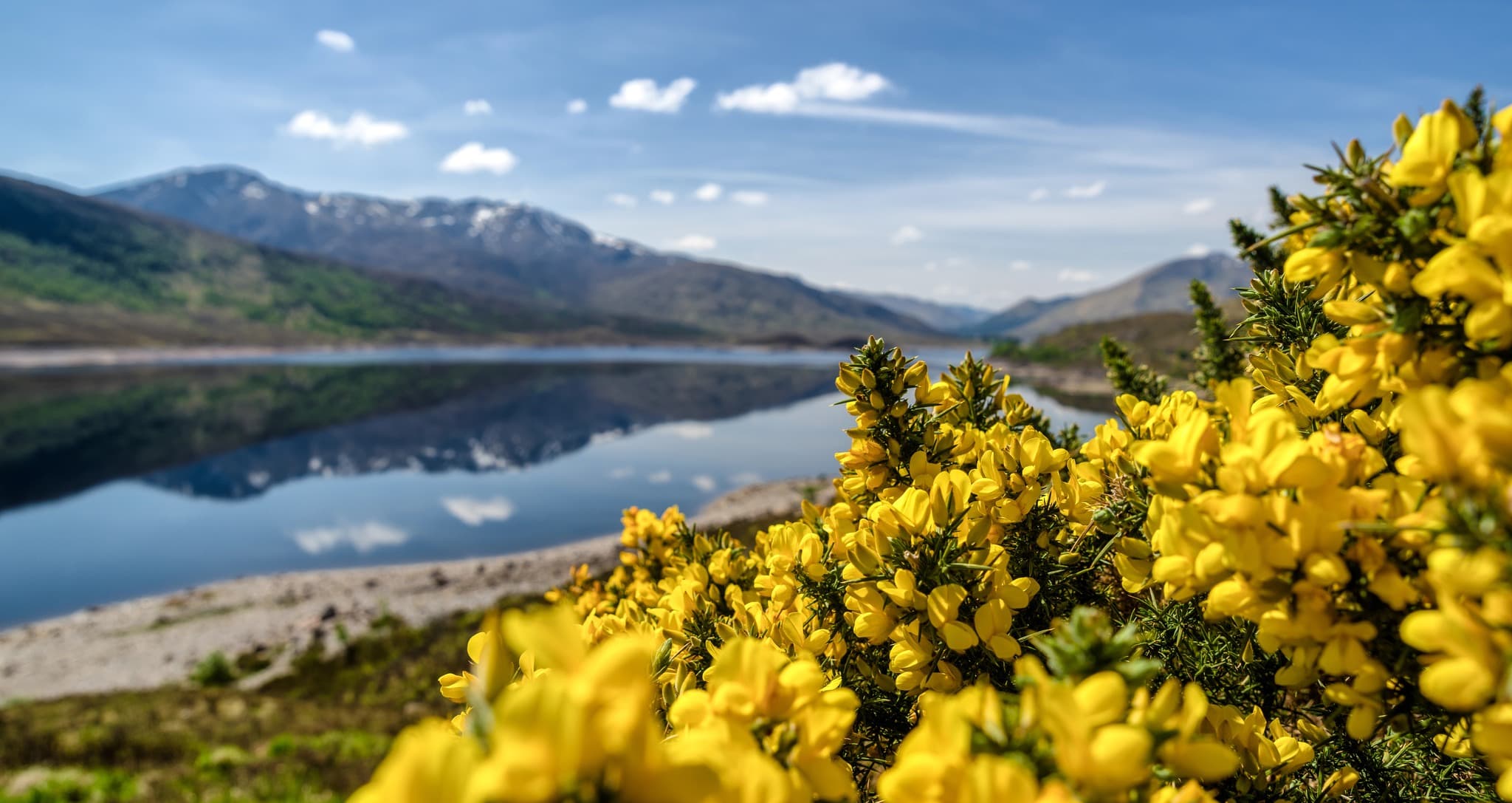 Scotland 4, Scottish Book Club Tour